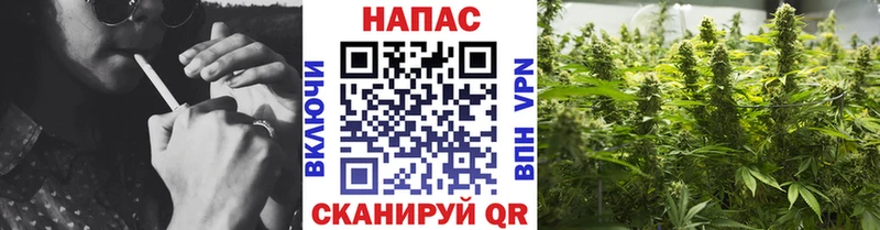 Бошки Шишки ГИДРОПОН  Спасск 
